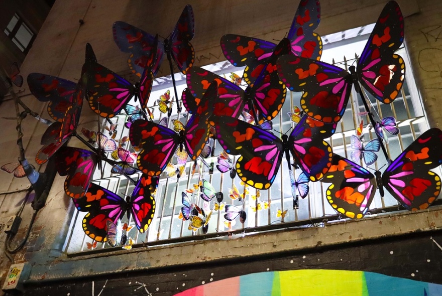 Butterfly installation in a Melbourne alleway.