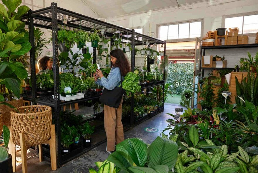 Two women browsing shelves in a plant store surrounded by big and small house plants.
