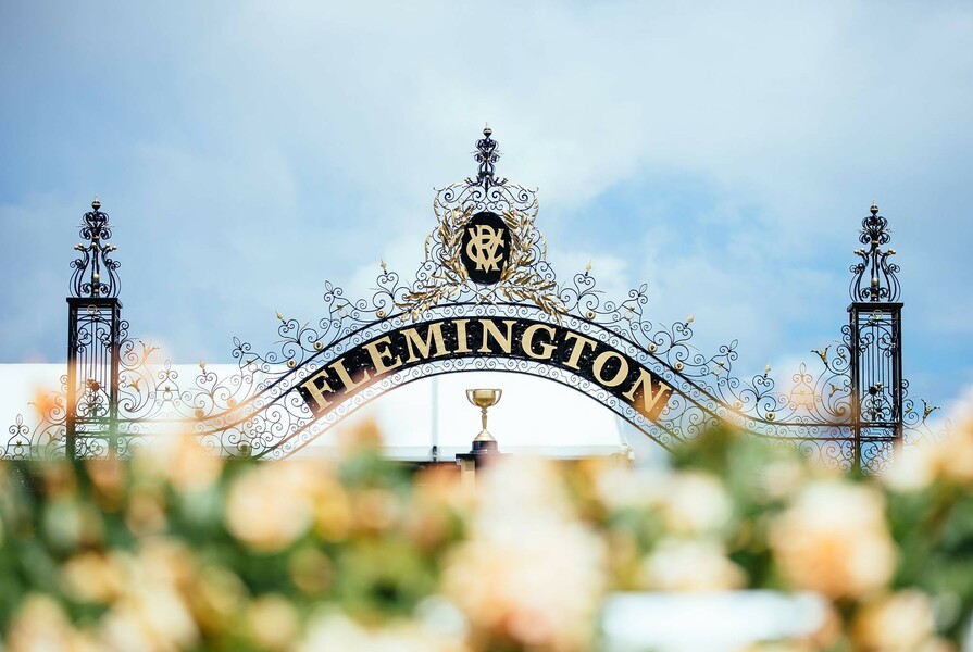 flemington racecourse tour