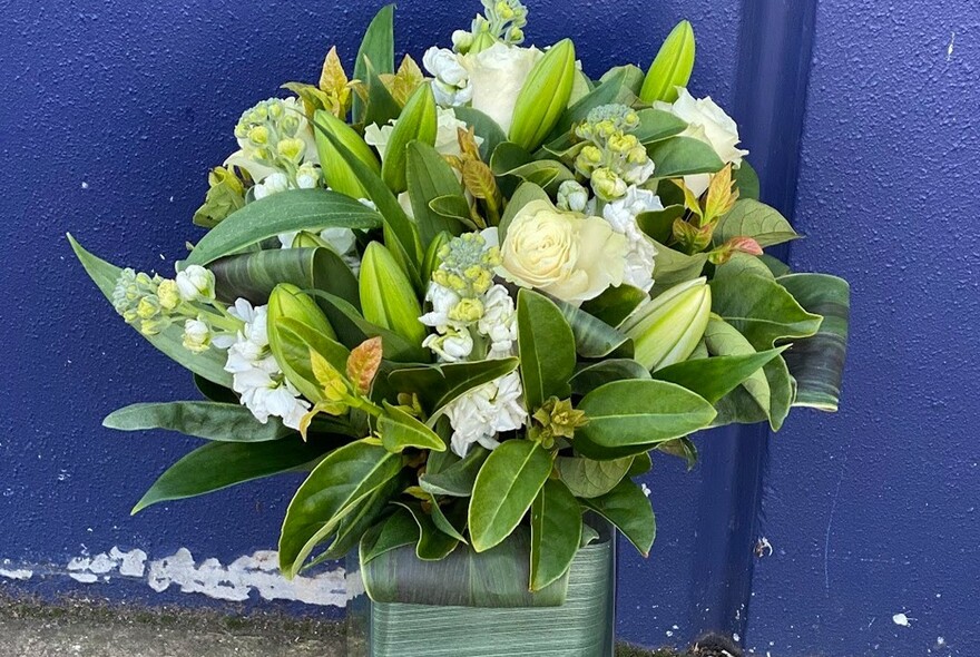 A bouquet of white flowers ad green leaves in a green pot against a dark blue wall.