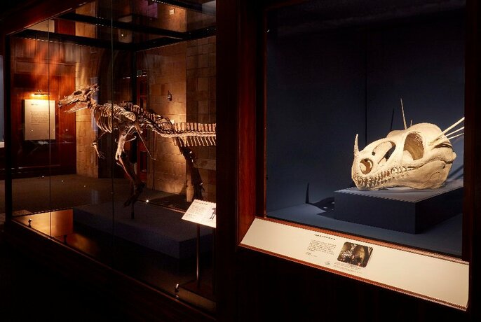 Installation view of an exhibition in a museum room, with an animal skull and skeleton on display behind a glass cabinet.