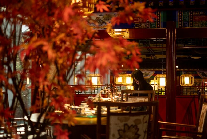 Chinese restaurant with tree with autumnal-coloured leaves.