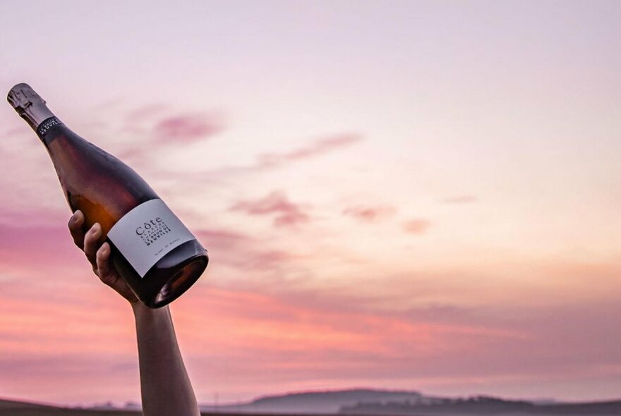 A bottle of Champagne being held up by a forearm against a dusky pink sky.