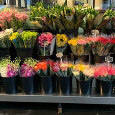 Flowers Round The Hours