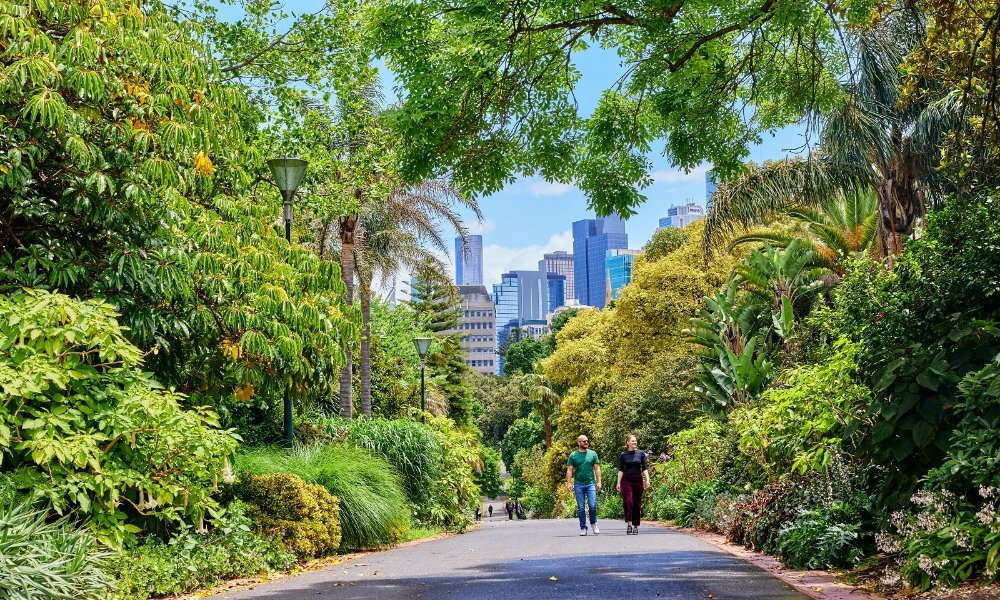Two people walking along a pathway in Fitzroy Gardens. 