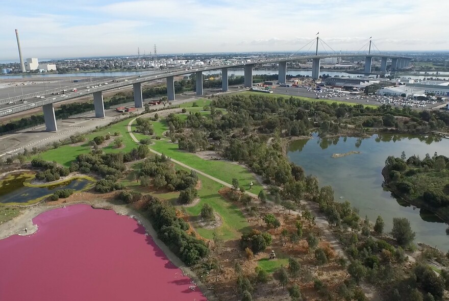 Aerial view of Westgate Park with pink lake and Westgate Bridge and freeway.