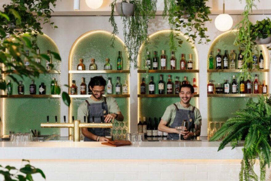 Two bartenders behind a bright leafy bar. 
