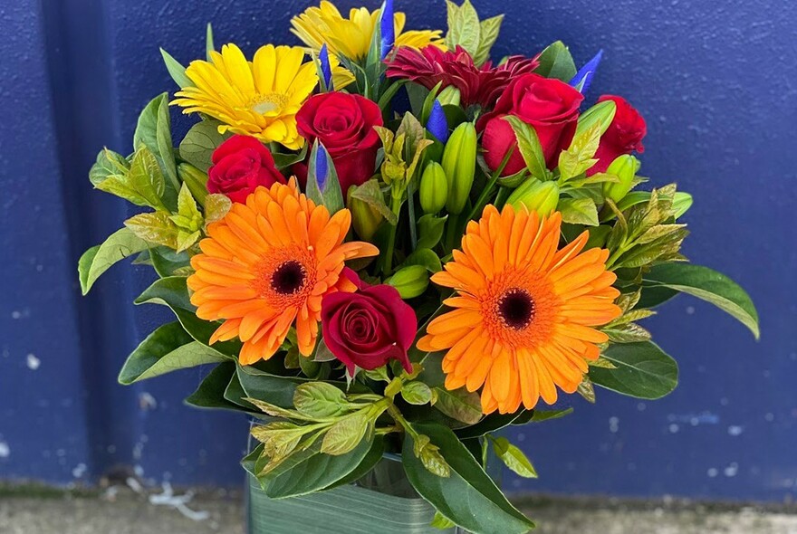 A bouquet of orange and yellow gerberas, red roses and purple iris in a green pot against a dark blue wall.