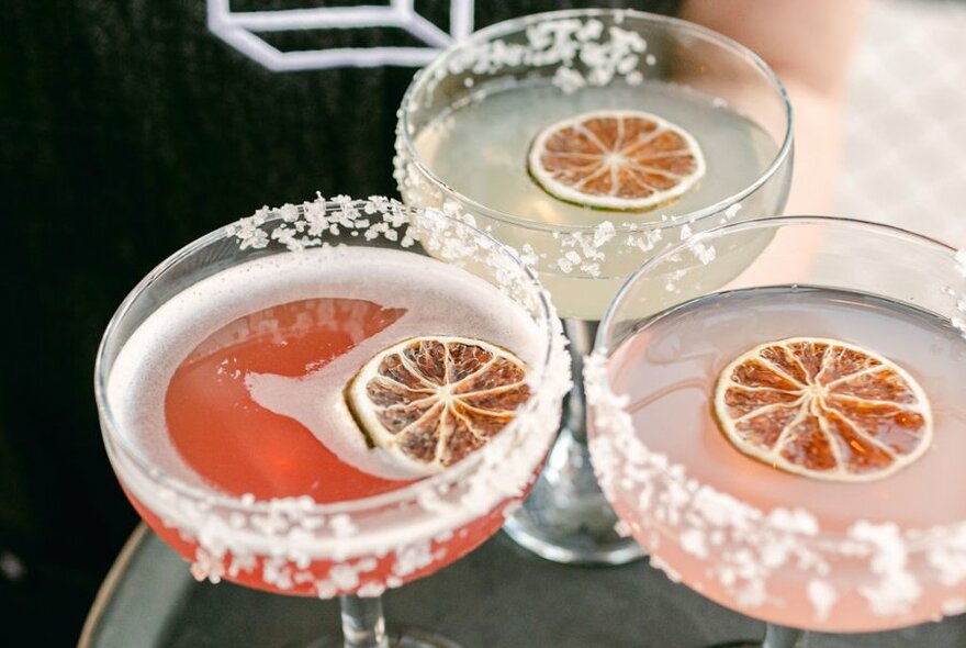 Three colourful margaritas with salt rims and dried citrus slices.
