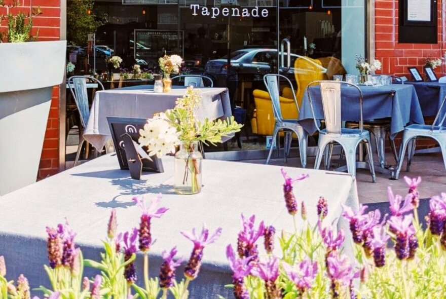 Lavender surrounding cafe tables on the terrace at Tapenade.