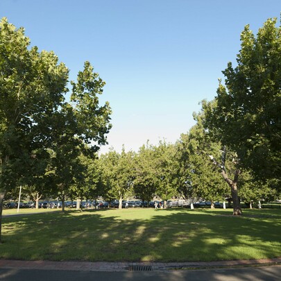 Yarra Park
