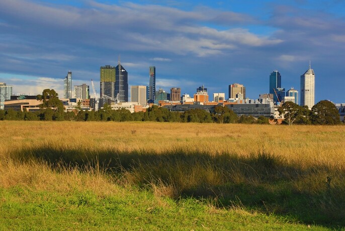 Grassy field and cityscape in the distance at Royal Park.