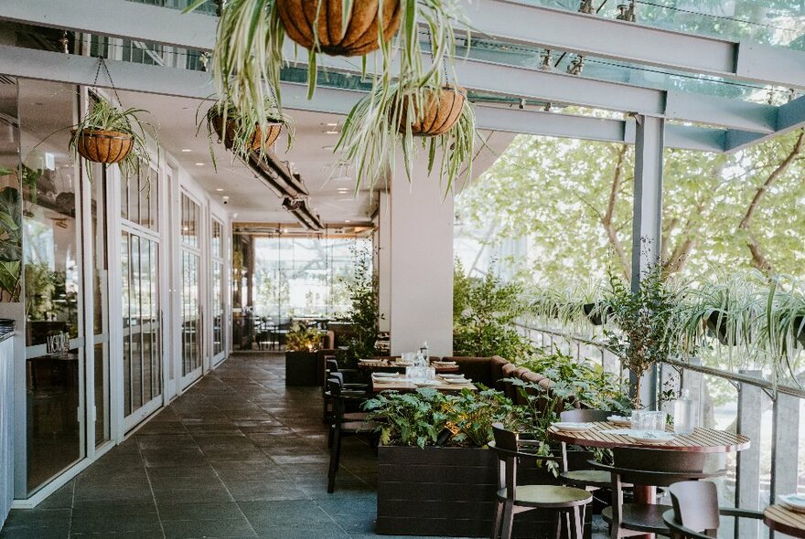 An covered outdoor terrace area with tables, chairs and greenery hanging from the terrace ceiling supports and in planter boxes near the tables.