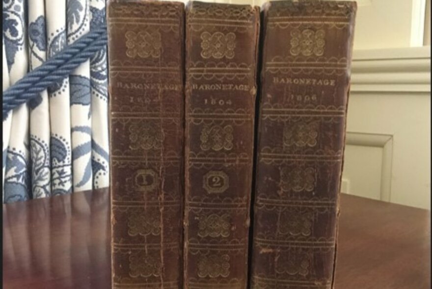 Three very old leather bound books upright on a table, spines facing out.