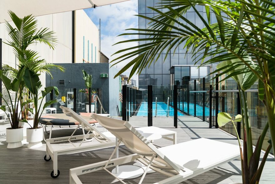 The pool deck at Adelphi Hotel with white deck lounges, palm trees in white pots and the cantilevered pool.
