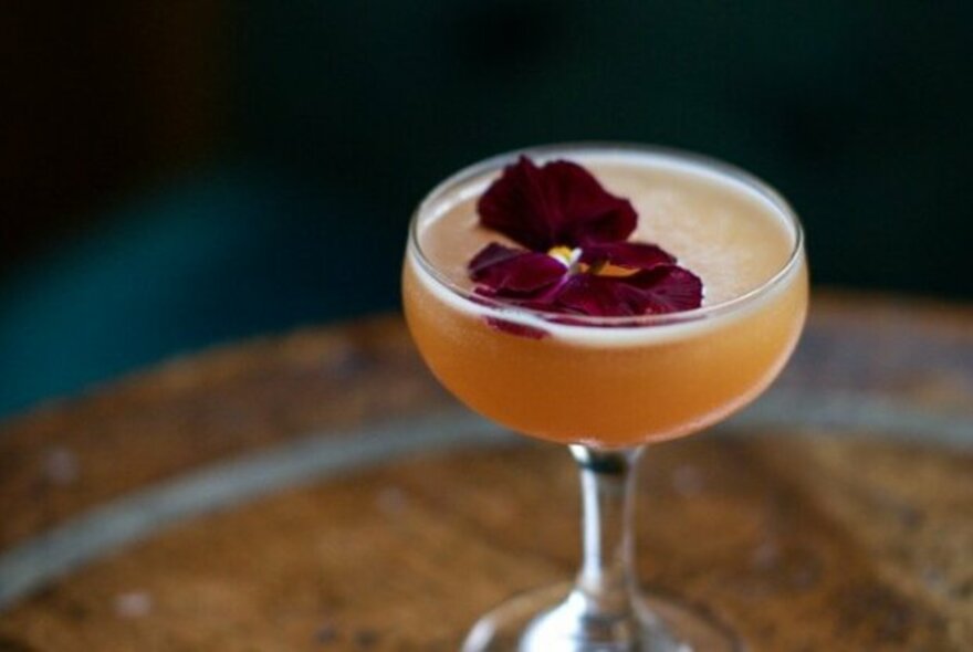 Cocktail with a flower garnish.
