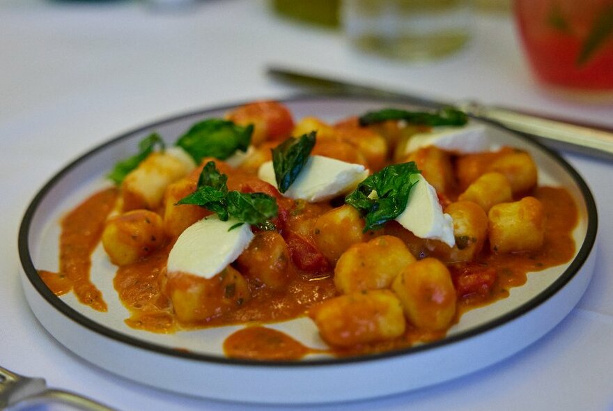 White plate with black rim, gnocchi in Napoli sauce with basil leaves and bocconcini on top.