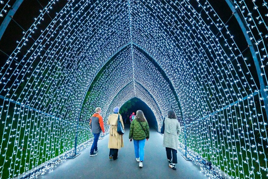 A groups of friends are walking through a glowing archway of lights