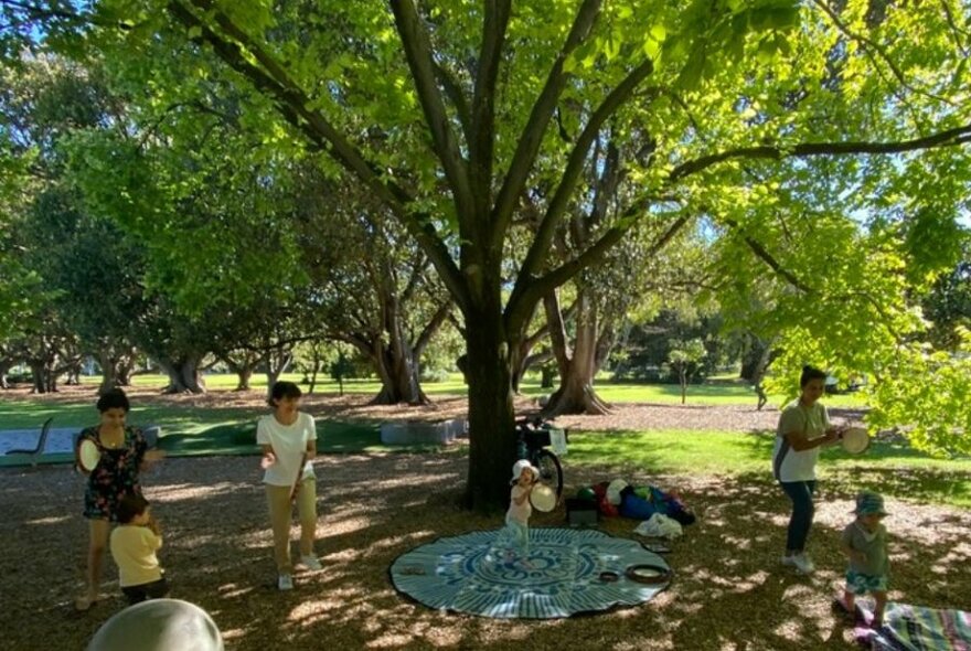 Children playing under trees in a park.