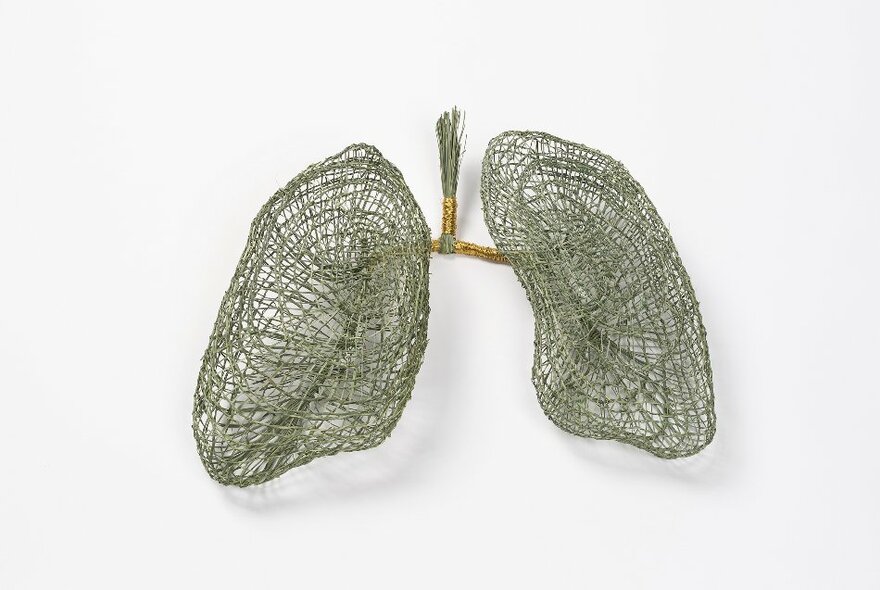 Koorie rope sculpture of lungs.