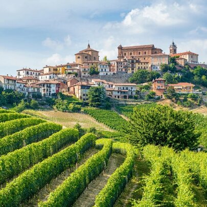 Piemonte Wine Masterclass