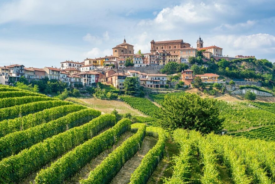 A picturesque view of the wine region of Piemonte, with an Italian-style town on the top of the hill, and green rows of vines in the foreground.