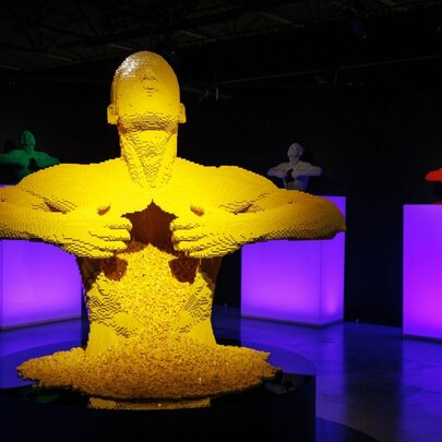 The Art of the Brick Immersive Experience