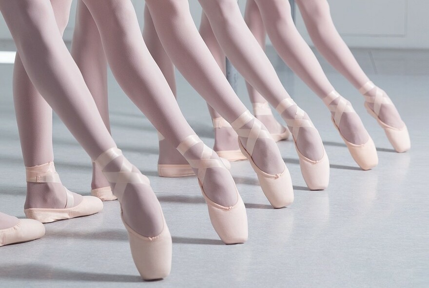 Six outstretched legs in pale pink ballet tights wearing pointe ballet shoes and positioning their feet with toes pointed at the floor.