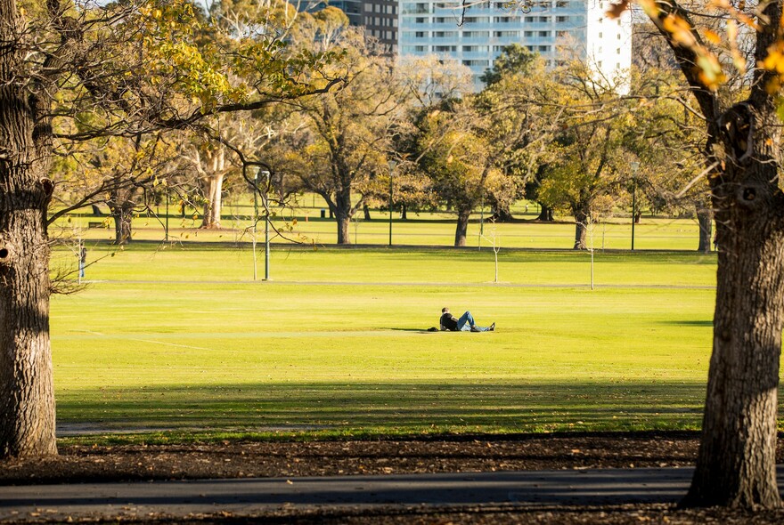 Person lying on grass in Fawkner Park, surrounded by trees. 