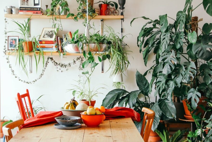 A kitchen table with bowls of fruit surrounded by large house plants.