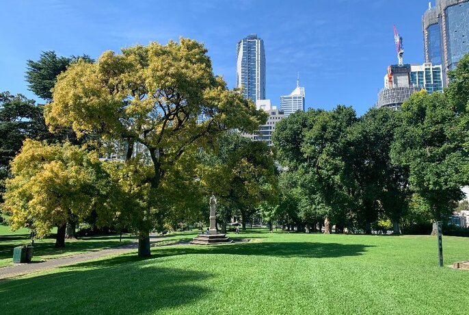 Trees and lawn in Flagstaff Gardens, backed by the city's tall buildings.