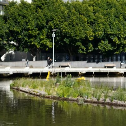  Floating Wetlands: Docklands to Enterprize Park