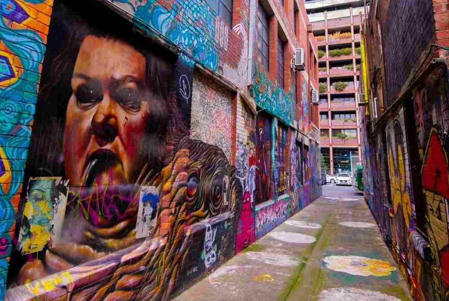 A laneway with street art on the walls