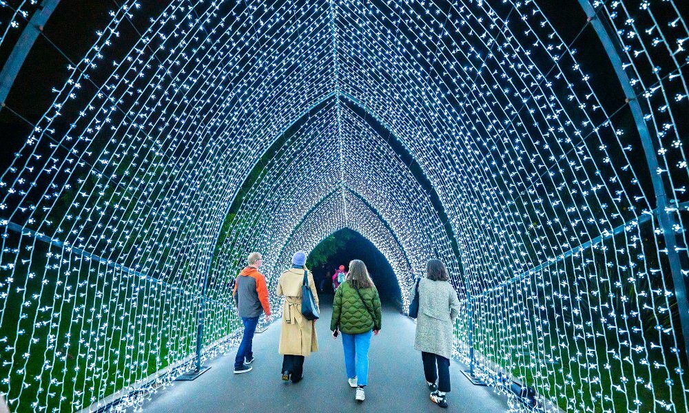 Four people walking through a tunnel of fairylights.