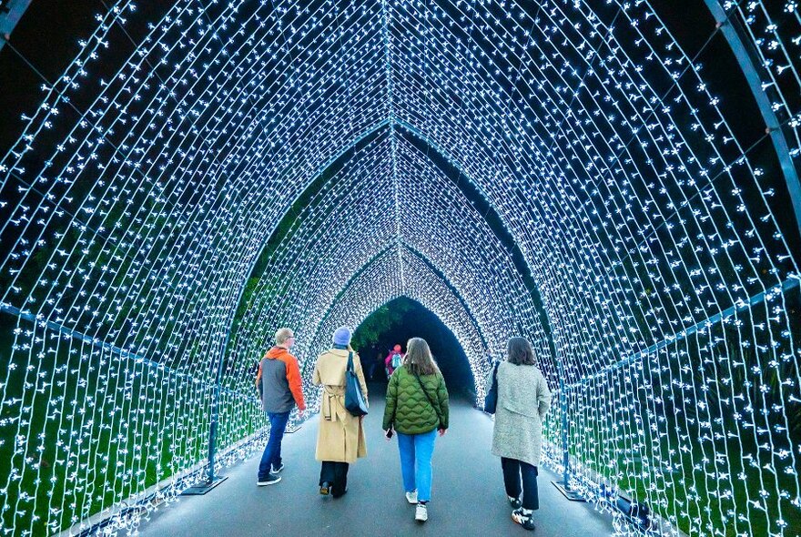 Four people walking through a tunnel of fairylights.