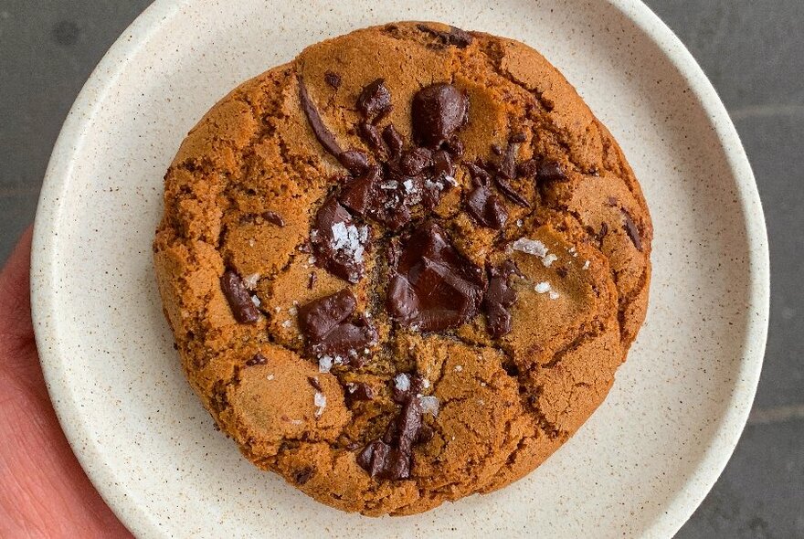 Large chocolate chip cookie on white and grey speckled plate.