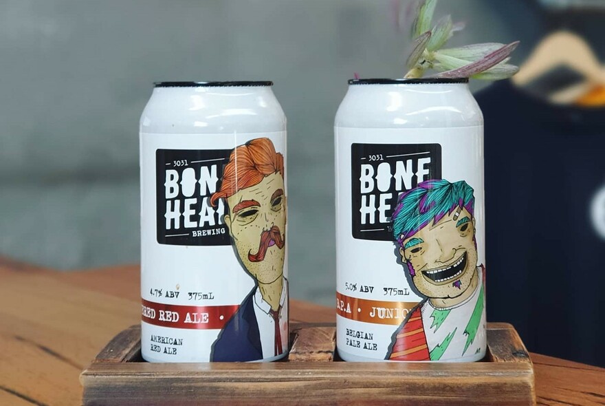 Two cans of Bonehead beer.