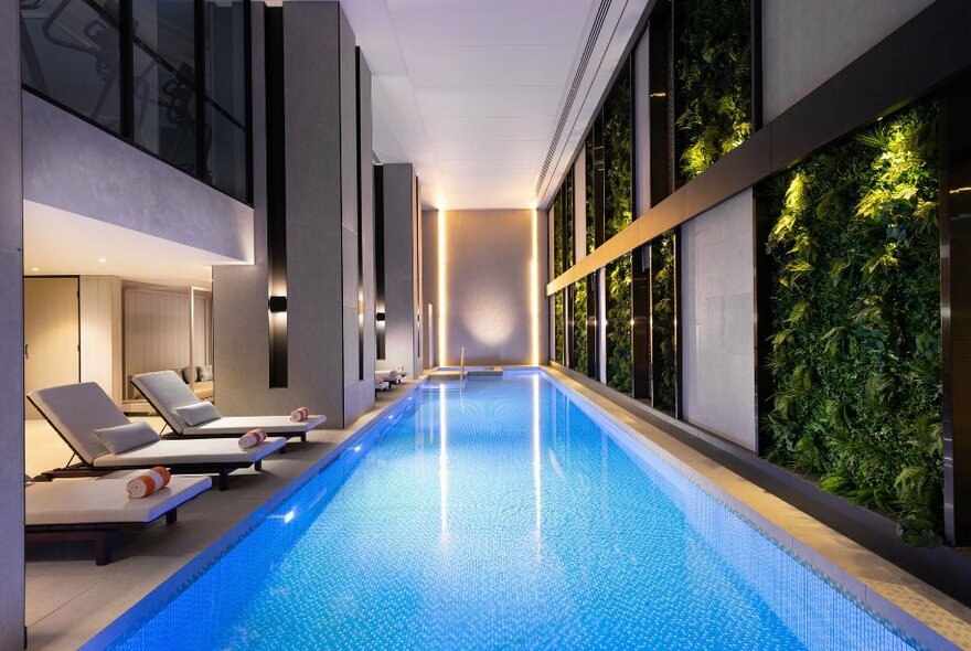 The lap pool at a hotel, with deck lounges on one side and a wall of greenery on the other side.