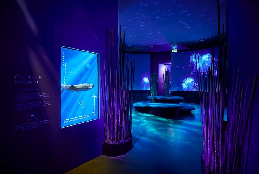 Entrance to a darkened room that contains immersive digital screenings of underwater scenes and marine creatures on the curved walls.