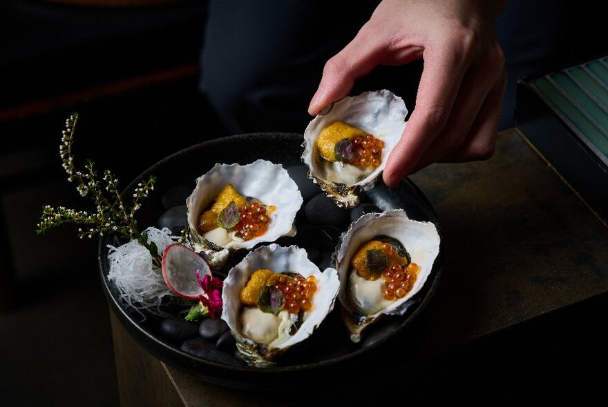 A hand selecting an open oyster garnished with other ingredients from a plate of four oysters. 
