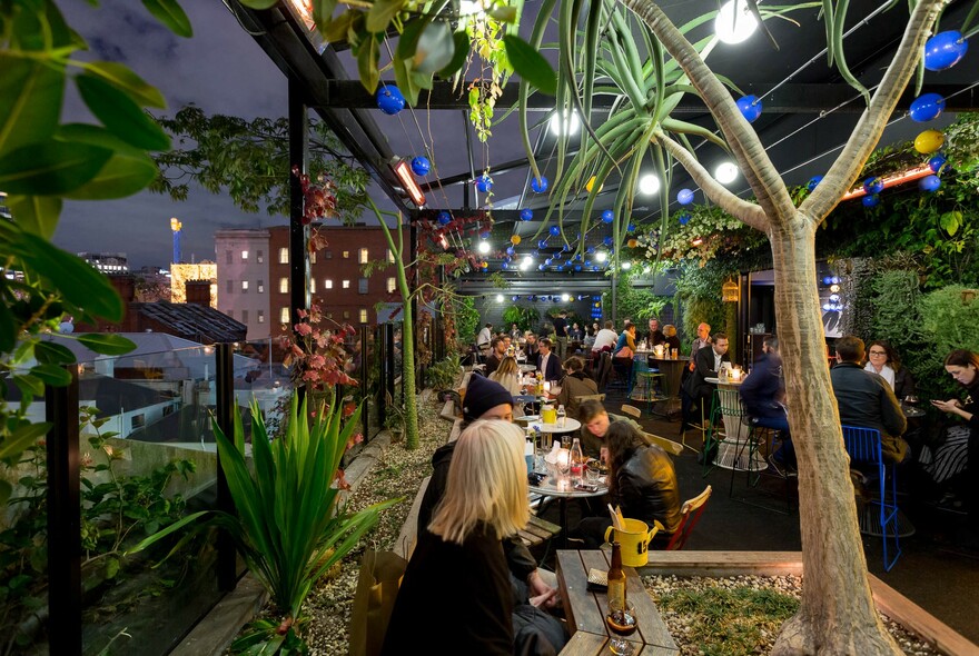 Rooftop bar at Loop with patrons at tables, surrounded by plants with lit buildings in the background.
