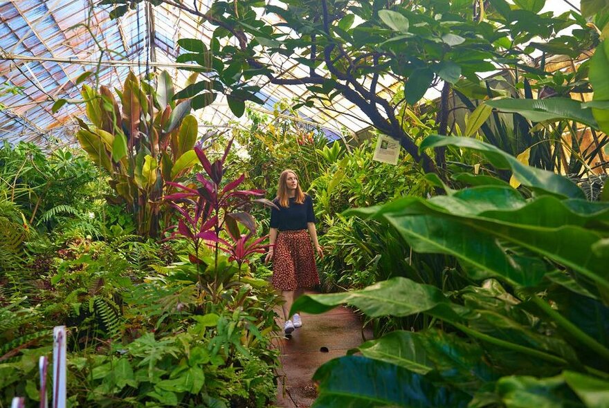 A woman walking through a greenhouse filled with plants.