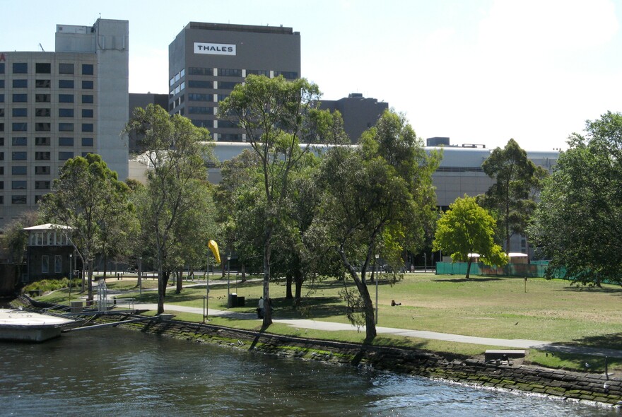 Trees and Yarra River at Batman Park.