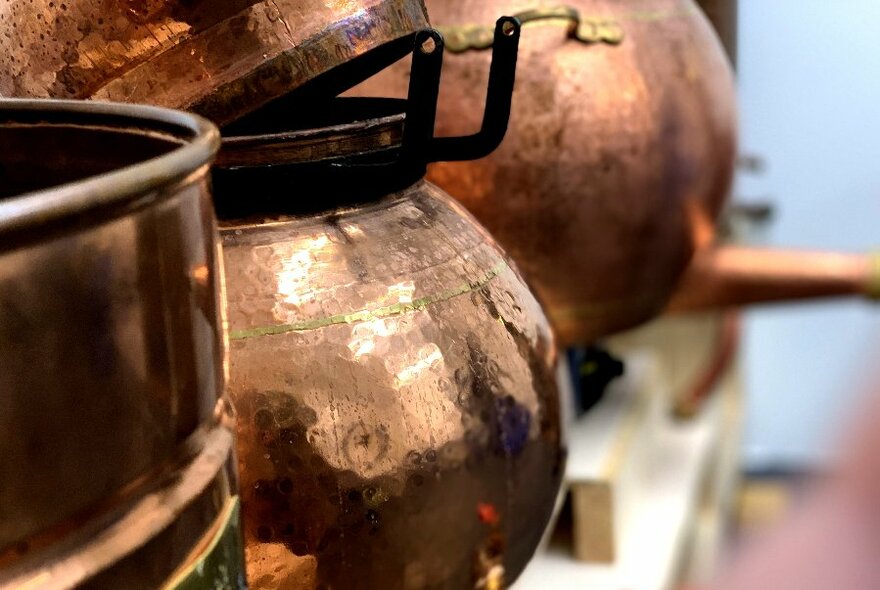 Close-up of copper pots used in the distillery.
