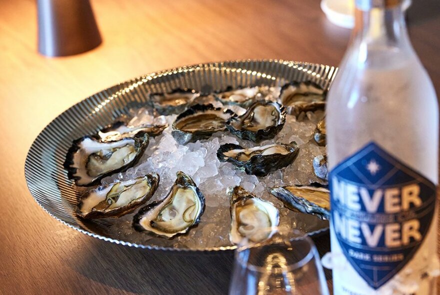 A tray of oysters on ice with a gin bottle in the foreground.