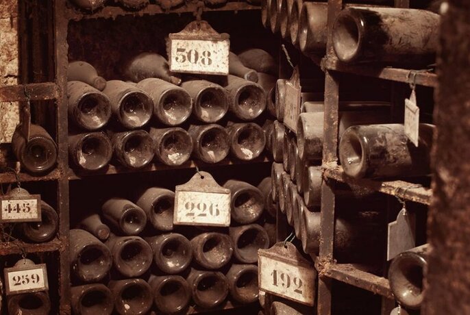 Dusty wine bottles in a cellar.