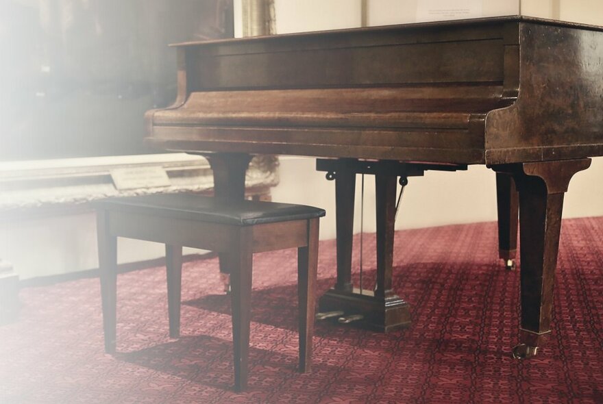 A grand piano and matching piano stool, in a red carpeted room with cream coloured walls. 