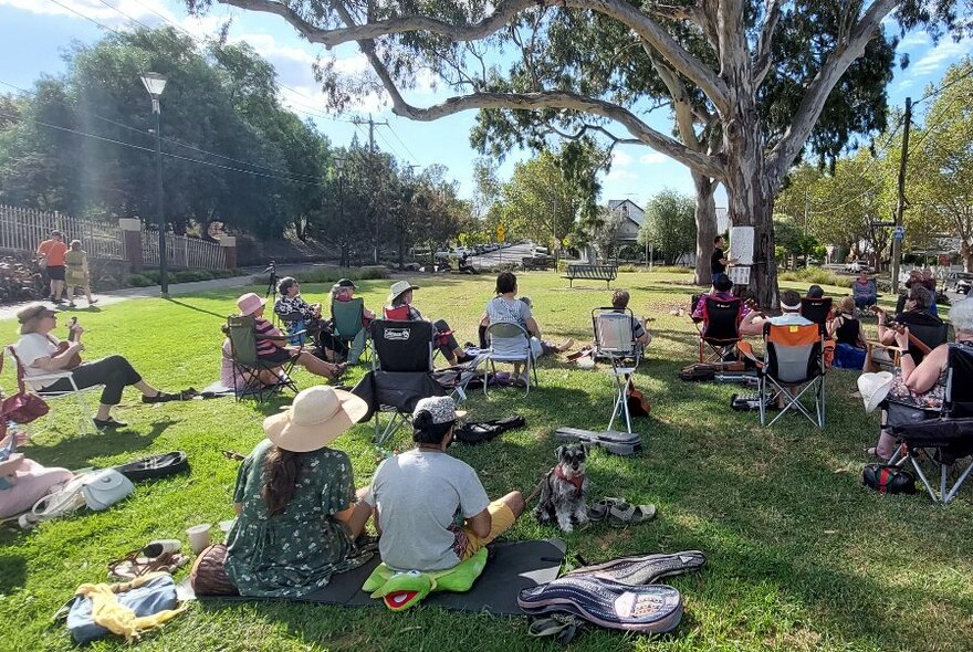 Group of people sitting on the grass outdoors, under the shade of a tree, playing ukuleles.
