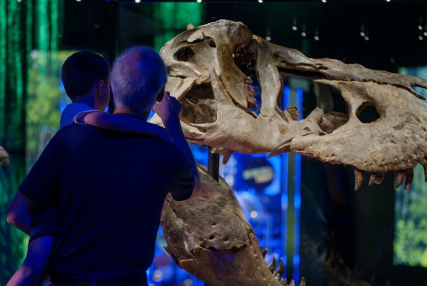 An adult holding a child pointing at a dinosaur skeleton on display.