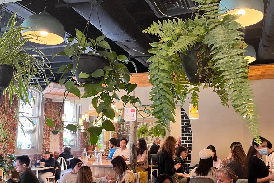 Interior of a cafe with patrons dining at tables, and baskets of green plants and lamps hanging from the ceiling decorating the space.